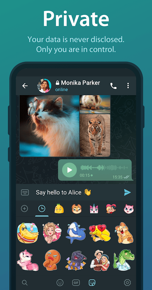 Telegram  Screenshots