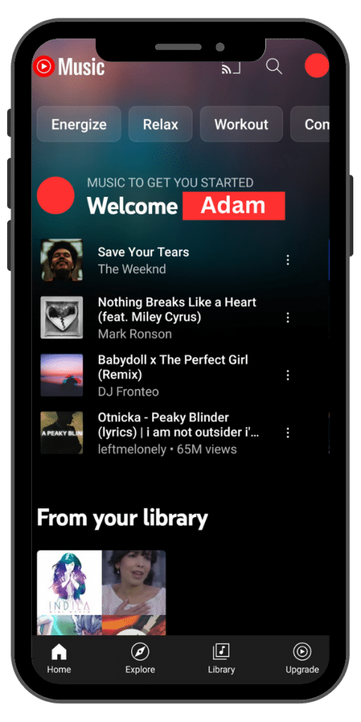 YouTube Vanced  Screenshots