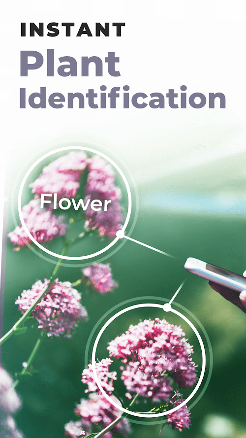 PlantSnap plant identification  Screenshots