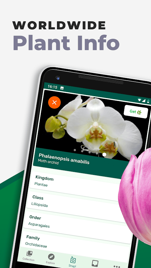PlantSnap plant identification  Screenshots