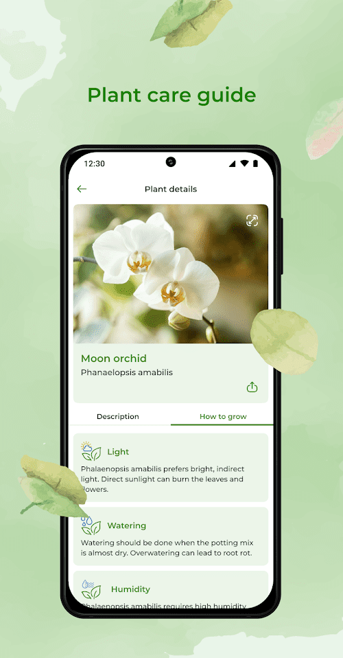 PlantSnap plant identification  Screenshots