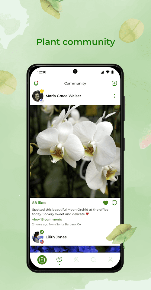PlantSnap plant identification  Screenshots