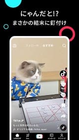 TikTok スクリーンショット