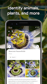 Google Lens  Screenshots