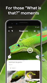 Google Lens  Screenshots