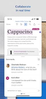 Microsoft Word  Screenshots