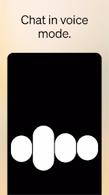 ChatGPT  Screenshots