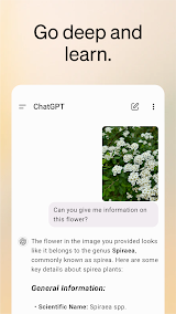 ChatGPT  Screenshots
