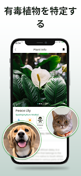 Plantiary: 植物識別子, 花、昆虫 スクリーンショット