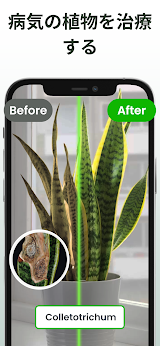 Plantiary: 植物識別子, 花、昆虫 スクリーンショット