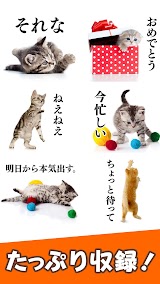 猫スタンプ（実写スタンプ） スクリーンショット