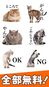 猫スタンプ（実写スタンプ） スクリーンショット