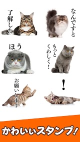 猫スタンプ（実写スタンプ） スクリーンショット