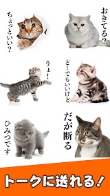 猫スタンプ（実写スタンプ） スクリーンショット