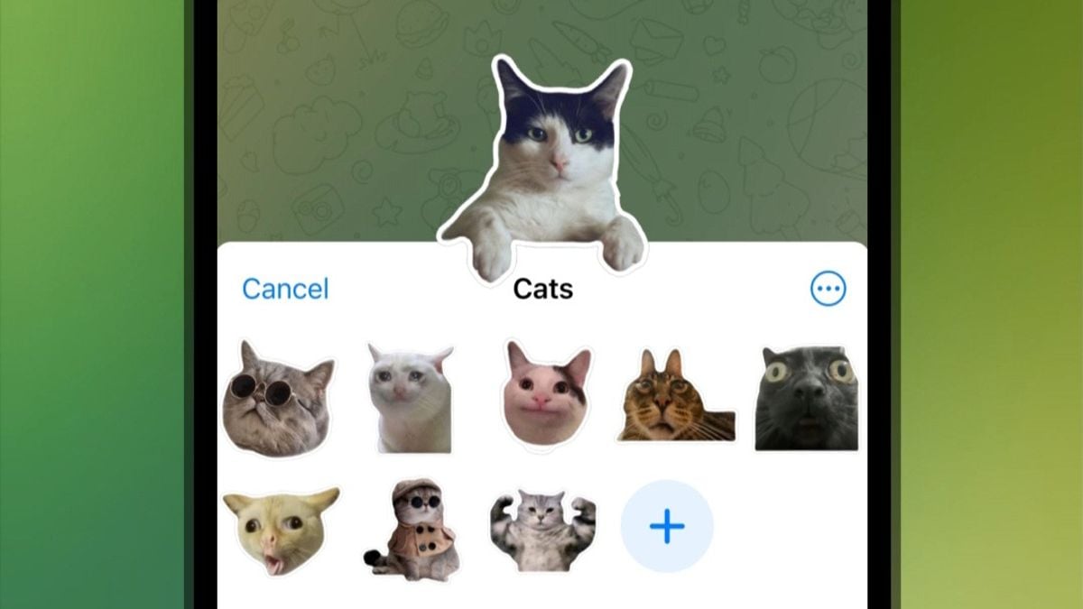 More Than Just Fun: How Telegram Stickers Are Redefining Digital Expression